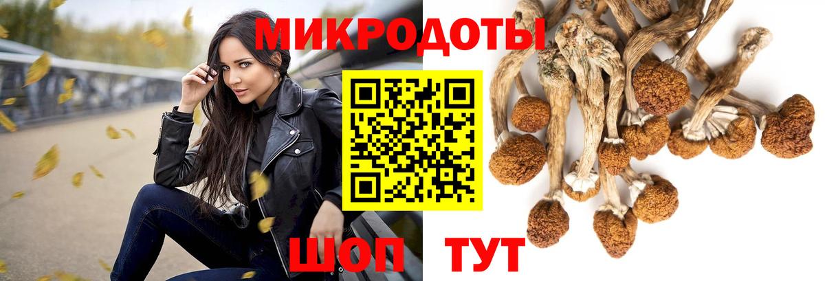 Псилоцибиновые грибы GOLDEN TEACHER Ейск